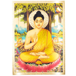 TLD0052 - Lamina Mediana Buda