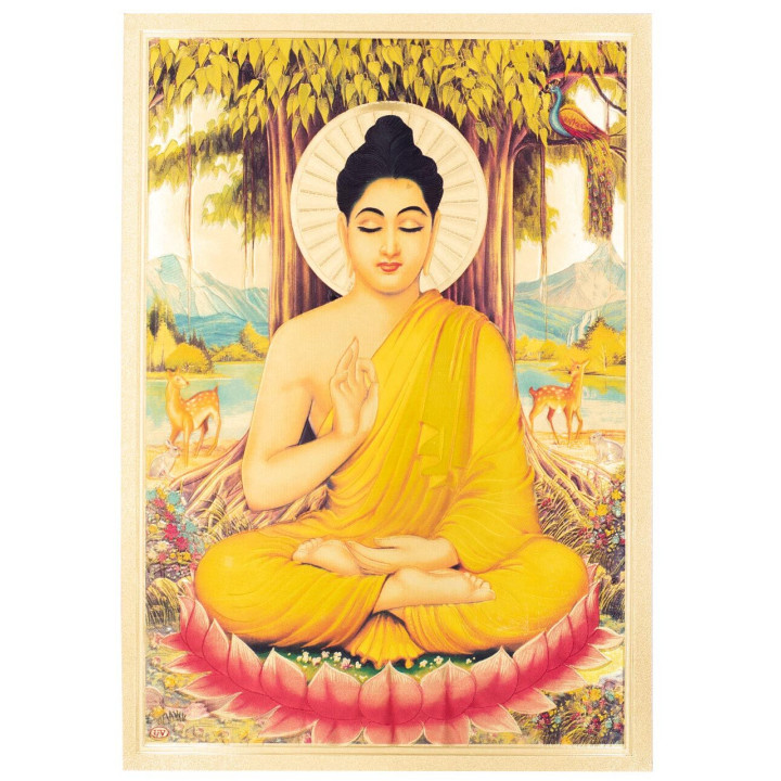 TLD0102 - Lamina Budha