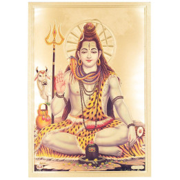 TLD0004A - Shiva-Druck