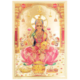TLD0006A-Lamina Lakshmi