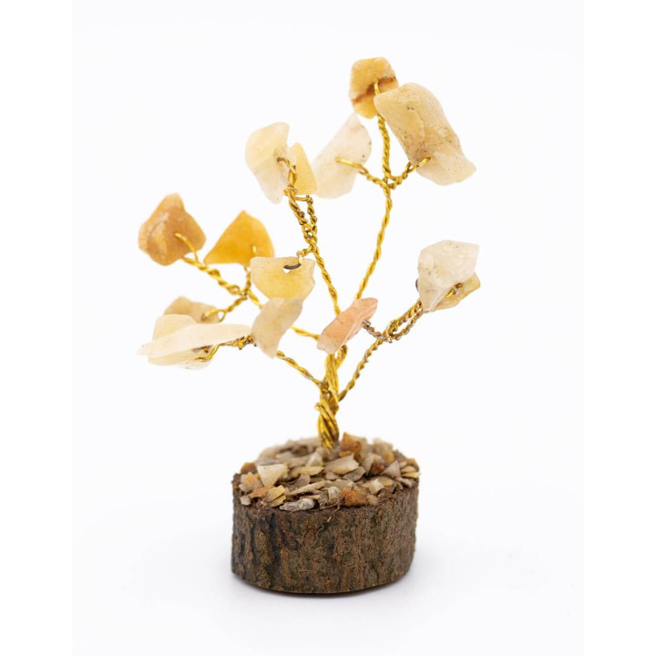 TPI00031 - Arbol Citrino