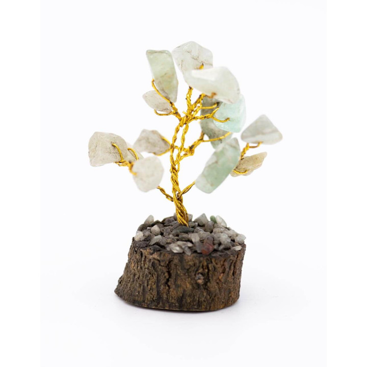 TPI0003F - Albero della vita Fluorite